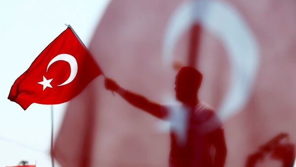 媒体：土耳其威胁退出北约 - 俄罗斯卫星通讯社