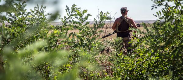 乌军 - 俄罗斯卫星通讯社
