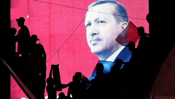 埃尔多安警告北约不要庇护参与未遂政变的土耳其军人嫌疑犯 - 俄罗斯卫星通讯社
