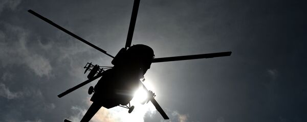 在华南有两名男子因站在别人的直升机前拍照被要求赔偿 - 俄罗斯卫星通讯社