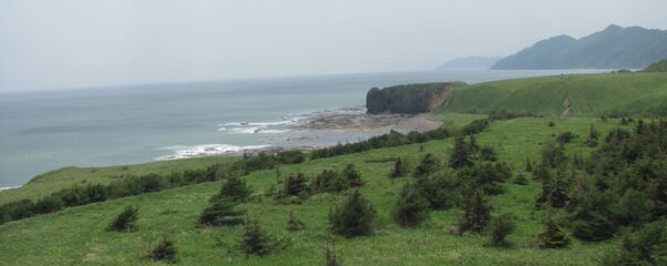 萨哈林岛 - 俄罗斯卫星通讯社