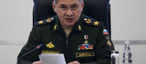 Министр обороны России Сергей Шойгу - 俄罗斯卫星通讯社