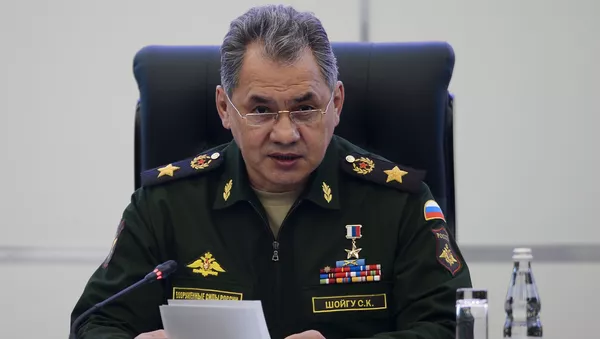 俄国防部长：北约在俄罗斯和白俄罗斯联盟国家西部边界加大进攻能力 - 俄罗斯卫星通讯社