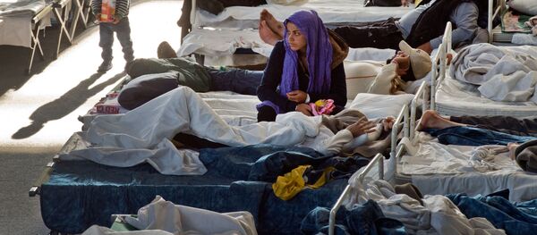 2015年10月以来有6.3万难民抵美 其中近半为穆斯林 - 俄罗斯卫星通讯社