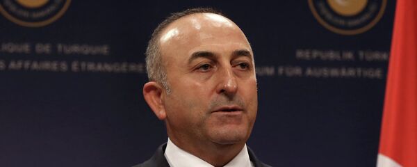 土耳其外长恰武什奥卢 - 俄罗斯卫星通讯社