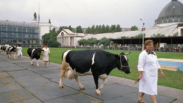 中国与俄滨海边疆区企业将联合成立俄最大畜牧业综合体 - 俄罗斯卫星通讯社