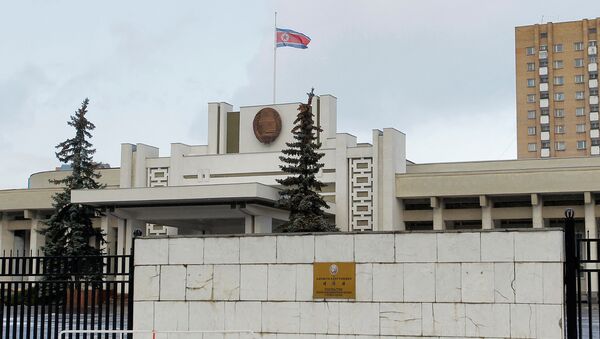 朝鮮駐俄大使館：朝鮮呼籲德國不要向韓國供應“金牛座”導彈 - 俄羅斯衛星通訊社
