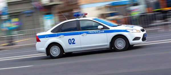 中国公民因试图从俄运出珍贵苔藓而在边境被扣押 - 俄罗斯卫星通讯社