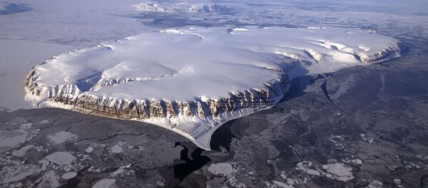 汪洋：中國倡議加強北極生態環境保護 合法利用北極資源 - 俄羅斯衛星通訊社