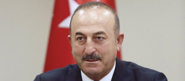 土耳其外长：土耳其可以建立与俄罗斯的军事技术合作 - 俄罗斯卫星通讯社