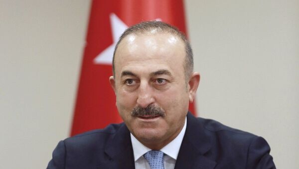 土耳其外長：土耳其可以建立與俄羅斯的軍事技術合作 - 俄羅斯衛星通訊社