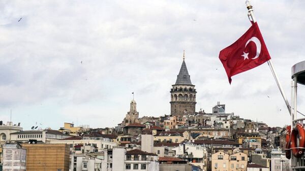 土耳其祖国党呼吁驱逐插手俄土间贸易的美国外交官 - 俄罗斯卫星通讯社