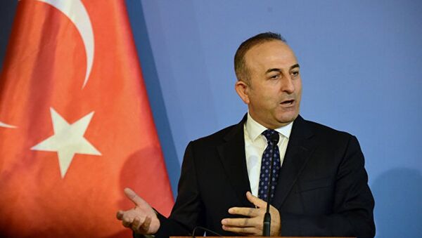 土耳其外長：烏克蘭危機源自西方干預 - 俄羅斯衛星通訊社