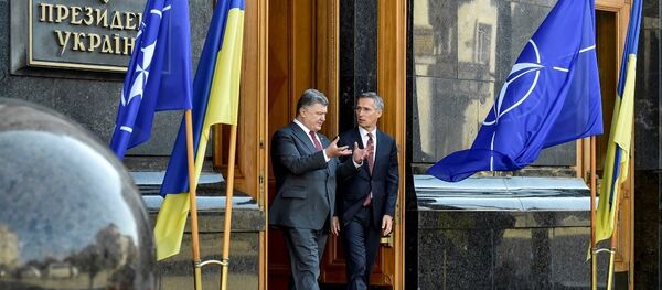 民调：三分之一乌克兰国民不支持本国加入北约 - 俄罗斯卫星通讯社