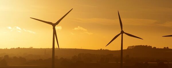 美国开辟对华贸易战新战场 - 俄罗斯卫星通讯社