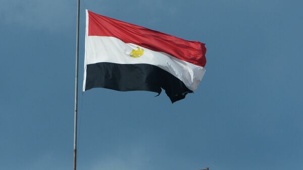 埃及總統：埃及核電站合同將在今年簽署 - 俄羅斯衛星通訊社