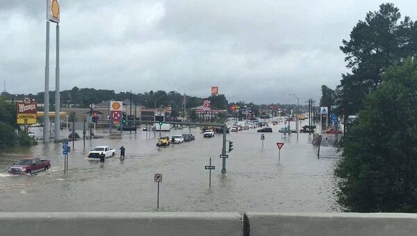 媒体：超过10万人因路易斯安那州水灾向美国政府寻求援助 - 俄罗斯卫星通讯社