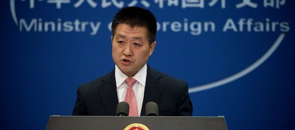 中国外交部：中方愿同埃及共同促进非洲和平与发展事业 - 俄罗斯卫星通讯社