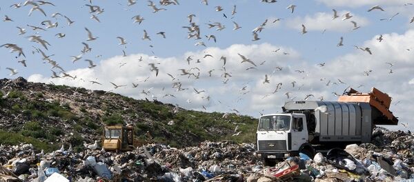垃圾场 - 俄罗斯卫星通讯社
