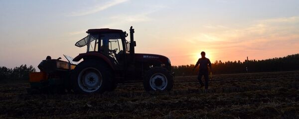 俄农业部长：2016农业年俄罗斯将粮食出口扩大到四千万吨 - 俄罗斯卫星通讯社