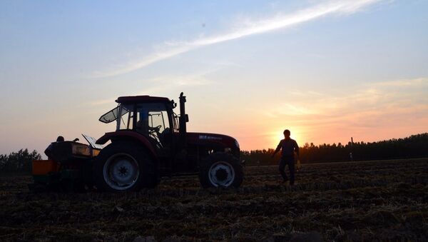 俄农业部长：2016农业年俄罗斯将粮食出口扩大到四千万吨 - 俄罗斯卫星通讯社