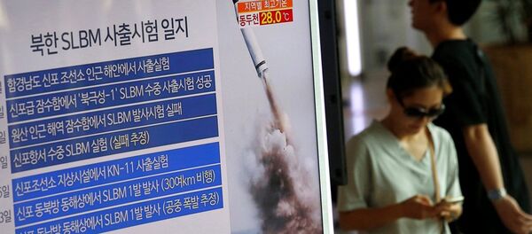 中國專家：美對朝鮮推行戰略忍耐實質是在養寇自重 - 俄羅斯衛星通訊社