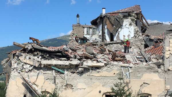 意大利地震 - 俄羅斯衛星通訊社