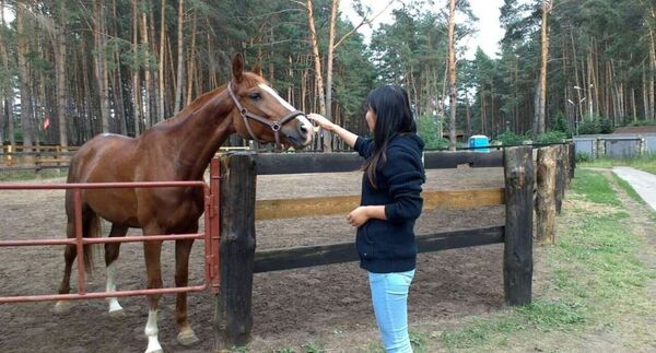 在养马场 - 俄罗斯卫星通讯社