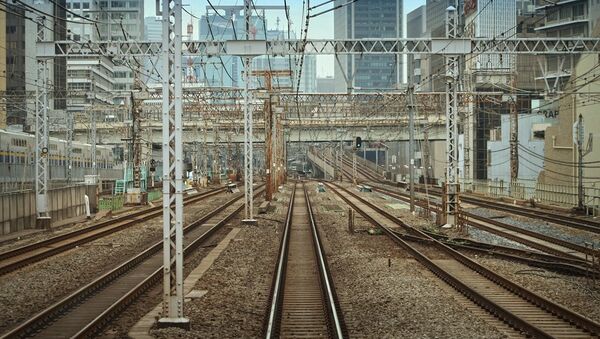 建設通往中國鐵路應當符合環保標準 - 俄羅斯衛星通訊社