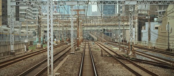 建设通往中国铁路应当符合环保标准 - 俄罗斯卫星通讯社