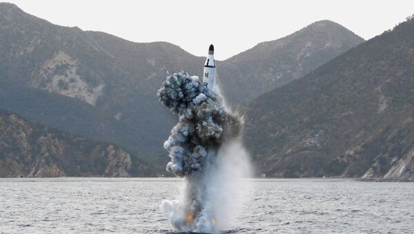 朝鮮將建造彈道導彈潛艇 - 俄羅斯衛星通訊社