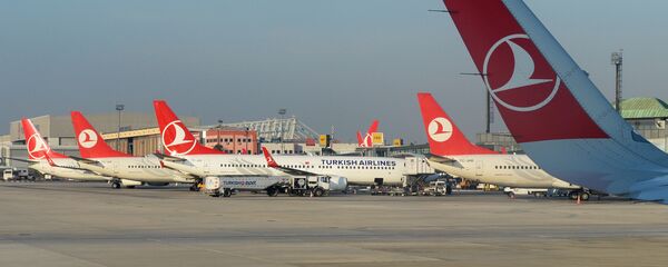 俄罗斯已签署法令取消赴土耳其包机的“禁飞令” - 俄罗斯卫星通讯社