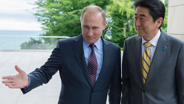 日本政府：日方拟在符拉迪沃斯托克峰会上全面讨论俄日关系 - 俄罗斯卫星通讯社