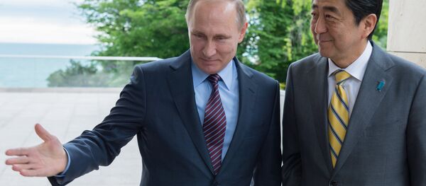 日本政府：日方拟在符拉迪沃斯托克峰会上全面讨论俄日关系 - 俄罗斯卫星通讯社