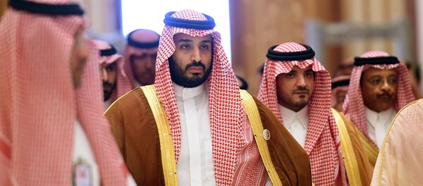 沙特王储继承人29日起访华 意在推动沙特摆脱对石油出口依赖 - 俄罗斯卫星通讯社