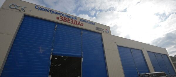 中国造船厂开始为“红星”造船综合体建造下水船坞 - 俄罗斯卫星通讯社