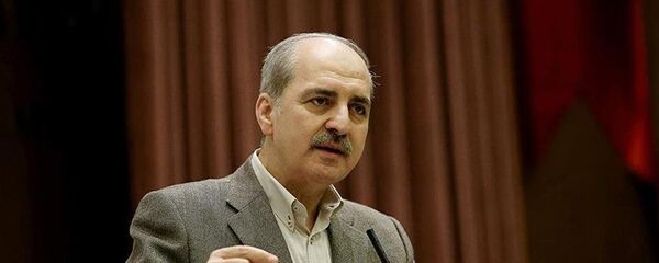 土耳其副总理库尔图卢什 土耳其副总理库尔图卢什 - 俄罗斯卫星通讯社