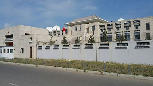 中國駐比什凱克使館 - 俄羅斯衛星通訊社
