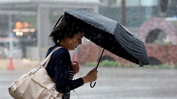 日本東北地區因颱風“獅子山”疏散七千人 - 俄羅斯衛星通訊社