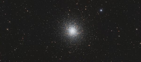 武仙座 武仙座 - 俄罗斯卫星通讯社