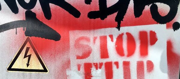 法国总统：TTIP协议年底前无法签署 - 俄罗斯卫星通讯社