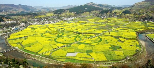 加拿大总理：中国保证9月1日起暂不实施新的油菜籽进口管理措施 - 俄罗斯卫星通讯社