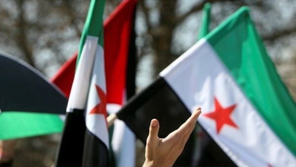 敘反對派最高談判委員會稱願意與敘政府開始直接談判 - 俄羅斯衛星通訊社
