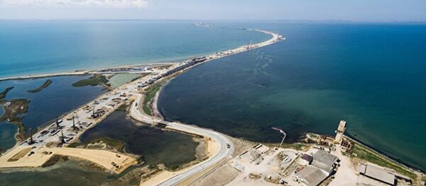 俄驻华大使：俄中边境跨河大桥建设问题将在年底前得到解决 - 俄罗斯卫星通讯社