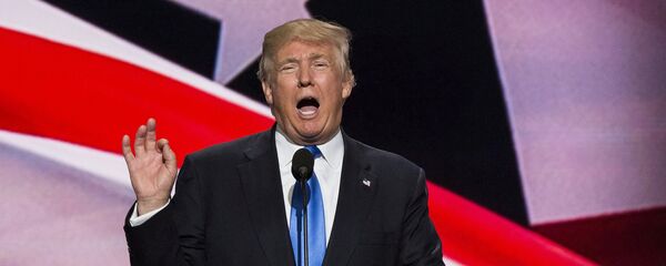 特朗普承诺若胜选将成立驱逐非法移民专门小组 - 俄罗斯卫星通讯社