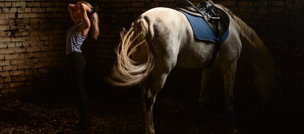 馬兒嗅出女主人患癌 救其一命 - 俄羅斯衛星通訊社