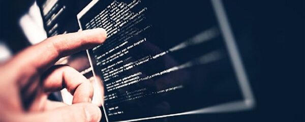 美佐治亞州稱該州投票系統遭到來自國土安全部的黑客攻擊 - 俄羅斯衛星通訊社