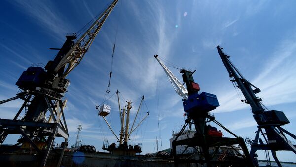 俄直投基金近期將公佈數項遠東港口基礎設施交易 - 俄羅斯衛星通訊社