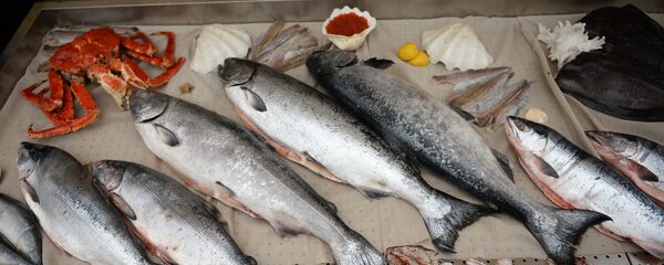 科学家指出能减少压力和降低攻击性的食品 - 俄罗斯卫星通讯社