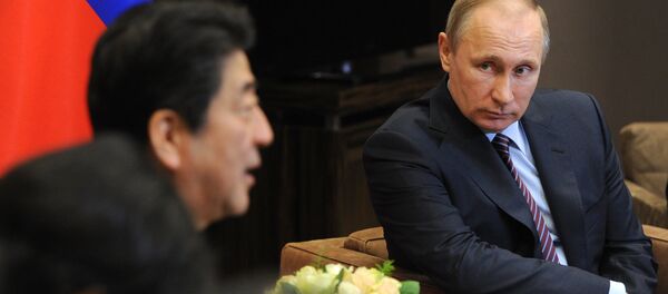 克宮：普京與安倍可能在會晤上討論南千島群島問題 - 俄羅斯衛星通訊社